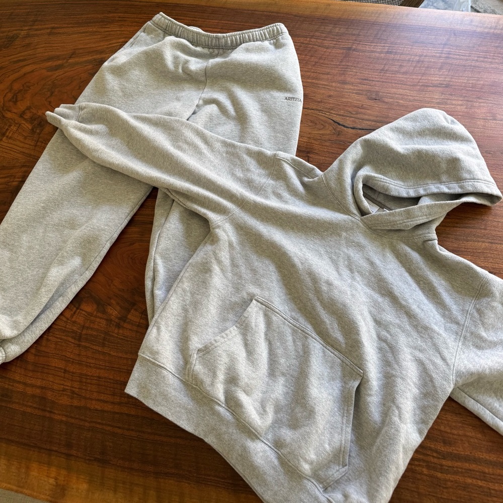 Aritzia Gray Track Pants & Hoodie Set